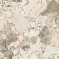 Forte dei Marmi Ceppo Apuano Cream 80x80