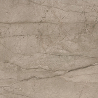 Forte dei Marmi Mystic Grey 80x80