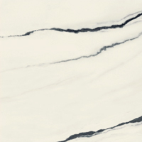 Forte dei Marmi Panda White 80x80
