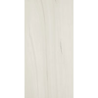 ALLMARBLE LASA SILK 60x120