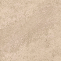 LIMS Grey 120x120