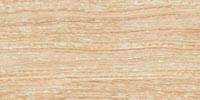 Epos Sand 60x120