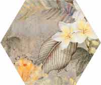 HIBISCUS OXIDE MATT 23x27