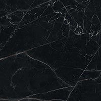 BLACK ATLANTIS 60X60 LAPPATO