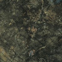 BRAZIL GREEN 75X75 LAPPATO