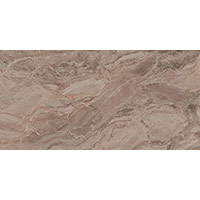 Privilege Grigio 60x120