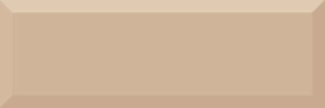 BISELADO BRILLO BEIGE 10X30