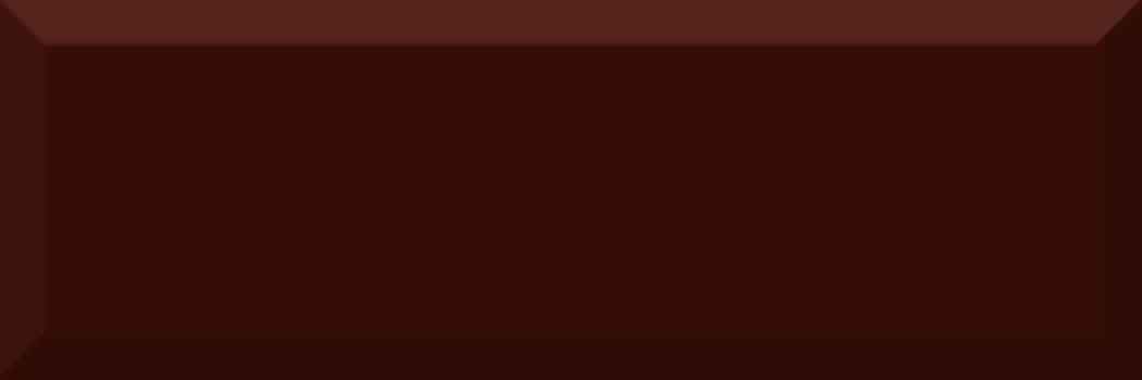 BISELADO BRILLO MARRON 10X30