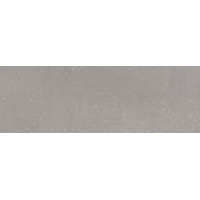 STEEL NATURALE 20X60