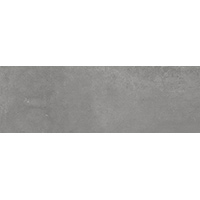 ZINC NATURALE 20X60